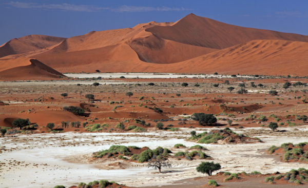 Sossusvlei